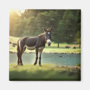 Suche nach donkey magnete Maultier