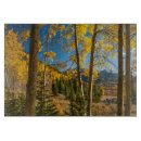 Suche nach landschaft schneidebrettchen Herbst