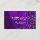 Recherche de dollars cartes visite Comptable