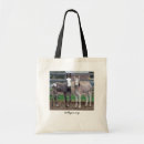 Recherche de burros sacs Âne