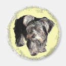 Suche nach yorkie hund magnete Natur