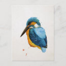 Recherche de merles cartes postales Oiseau