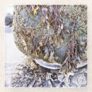 Suche nach älg untersetzer Natur