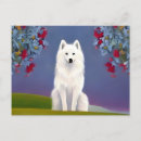 Recherche de esquimau cartes postales Chien