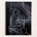 Recherche de étalon noir bureau fournitures Chevaux