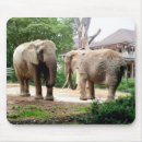 Suche nach afrikanischer elefant mousepads Groß