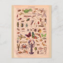 Suche nach arthropode poster Vintag