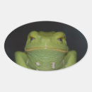 Suche nach grüner frosch aufkleber Amphibisch