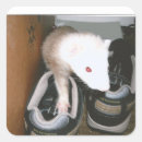 Recherche de tapir autocollants Animaux