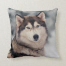 Suche nach husky kissen Niedlicher hund