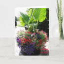 Suche nach ohren karten Fotografie