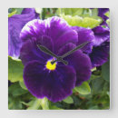Recherche de viola horloges Violet