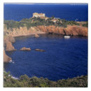 Recherche de toits carreaux Bleu