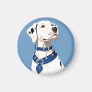 Recherche de dalmatien magnets Animal mignon