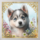 Suche nach husky poster Welpe