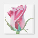 Suche nach single rose magnete Rosa