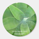 Recherche de succulent magnets Feuille