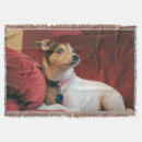 Suche nach jack russell decken Niedlich