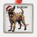 Recherche de malinois belges ornements Noël