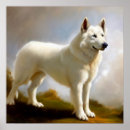 Suche nach suisse poster Berger blanc suisse