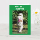 Suche nach promotion karten New job