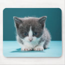 Suche nach aufpassen mousepads Vertikal