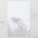 Recherche de aile papier lettre Aigle