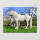 Recherche de percherons cartes postales Chevaux