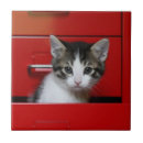 Suche nach hauskatze fliesen Tierthemen