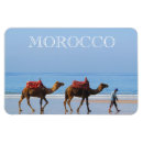 Recherche de de chameau magnets Afrique