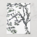 Recherche de arbre à feuillage persistant cartes postales Nature