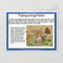 Recherche de pollen cartes postales Plante