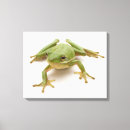 Suche nach grüner frosch leinwandbilder Tier