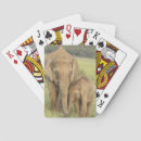 Suche nach indien spielkarten Elefant