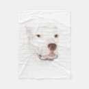 Suche nach pitbull decken Hundeliebhaber