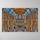 Suche nach naturgeschichte poster Architektur