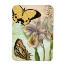 Recherche de papillon vert magnets Fleurs