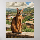 Recherche de abyssinien posters Animaux