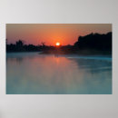 Recherche de pantanal posters Judith zimmerman