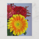Suche nach roter gerbera postkarten Gelb