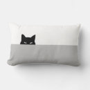 Suche nach sneaky Kitty