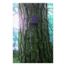 Suche nach irische fee poster Irland