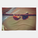Recherche de coccinelle cuisine linges Animal