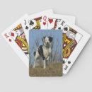 Suche nach sprache spiele spiele spielkarten Collie grenze