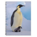 Suche nach schnee kleine notizbücher Natur