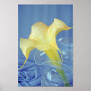 Suche nach gelbe wand poster Blume