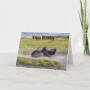Suche nach yellowstone nationalpark karten Bison
