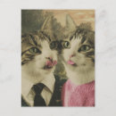 Suche nach alberne katze postkarten Niedlich