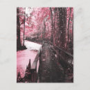 Recherche de marécages cartes postales Pour tous