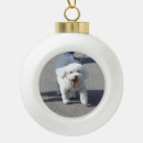 Recherche de frise bichon ornements Vacances